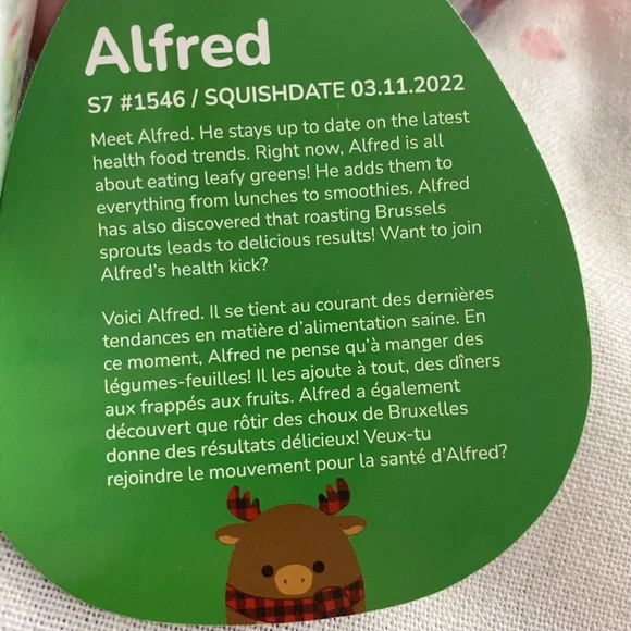 Squishmallows Alfred the moose - Picture 4 of 5